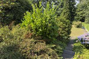 Schöne 3-Zimmer-Wohnung mit großer Terrasse in RS-Hasten in ruhiger und dennoch zentraler Lage – Die vollständige Adresse der Immobilie erhältst du vom Anbieter., 42857 Hölterfeld, Remscheid – Vorschaubild 19
