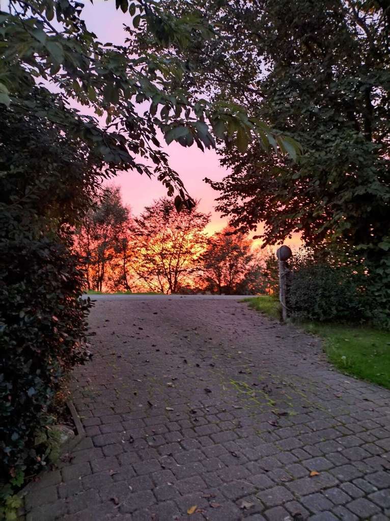 Immobilie in Welt - Reetlandhaus mit Weitblick: Nachhaltiges Idyll (A+) auf 3443 m² nahe SPO - Bild 2