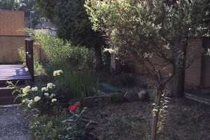 Traumhafte Gartenwohnung in Hannover-Mittelfeld – Die vollständige Adresse der Immobilie erhältst du vom Anbieter., 30519 Mittelfeld, Hannover – Vorschaubild 8