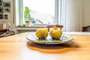 Ein guter Grund für die ganze Familie! – Aachen – Vorschaubild 7