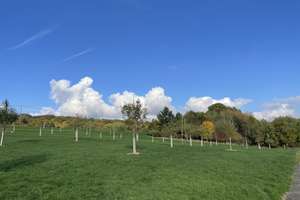 Property thumbnail 21