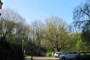 Mein Zuhause in Essen – 45141 Stoppenberg, Essen – Vorschaubild 14