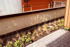 **LAGE** PIANOSUITES - Modern möbliertes 1-Zimmer-Neubau-Appartment im Komponistenviertel – Hamburg – Vorschaubild 6