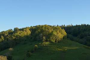 Großzügiges Anwesen mit Weitblick – seltene Gelegenheit zum Top-Preis – Die vollständige Adresse der Immobilie erhältst du vom Anbieter., 69517 Gorxheimertal – Vorschaubild 21