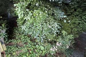 Charmantes Reihenhaus mit Garten in 08280 Aue + Garagen – Die vollständige Adresse der Immobilie erhältst du vom Anbieter., 8280 Aue – Vorschaubild 16