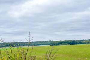 Wohnen mit Blick ins Grüne!