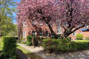Grün, Ruhig, Zentral – 2-3 Zimmer am Stadtrat-Hahn-Park – Die vollständige Adresse der Immobilie erhältst du vom Anbieter., 24148 Wellingdorf, Kiel – Vorschaubild 11