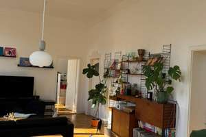Lichtdurchfluteter Altbautraum: 2 Zimmer mit Fischgrätenparkett & hohen Decken – Große Diesdorfer Straße 247, 39108 Stadtfeld Ost, Magdeburg – Vorschaubild 4