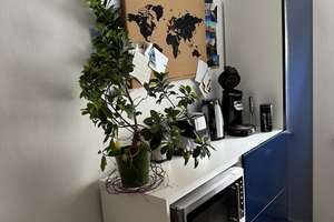 Helle 2-Zimmer Wohnung mit Garten in München-Haidhausen – Die vollständige Adresse der Immobilie erhältst du vom Anbieter., 81669 Haidhausen Süd, München – Vorschaubild 4