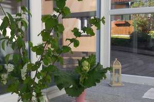 Doppelhaushälfte in ruhiger Lage mit Wintergarten und Carport – Drei-Eichen-Weg 5, 75181 Huchenfeld, Pforzheim – Vorschaubild 8