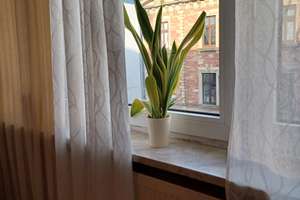 Etagenwohnung direkt in der Stadt zu vermieten(Whg.7) – Viktoriastraße 8, 66111 St. Johann, Saarbrücken – Vorschaubild 3