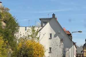 *HTR* Stadthaus mit Laden und Yuppie-Penthouse, wohnen und arbeiten unter einem Dach! – Aschaffenburg – Vorschaubild 4