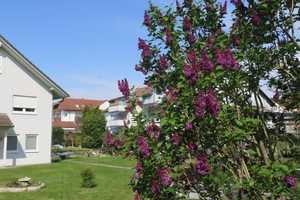 Großes EFH mit Einliegerwohnung auf Traumgrundstück in Eggenstein – Karlsruhe (Kreis) – Vorschaubild 5