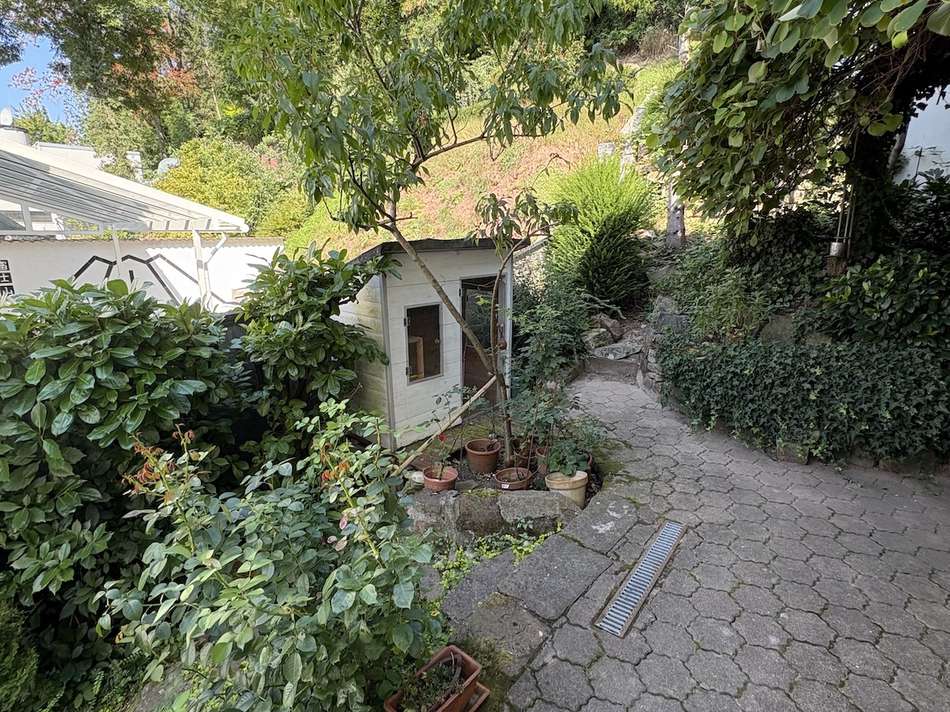 Garten_EG_1