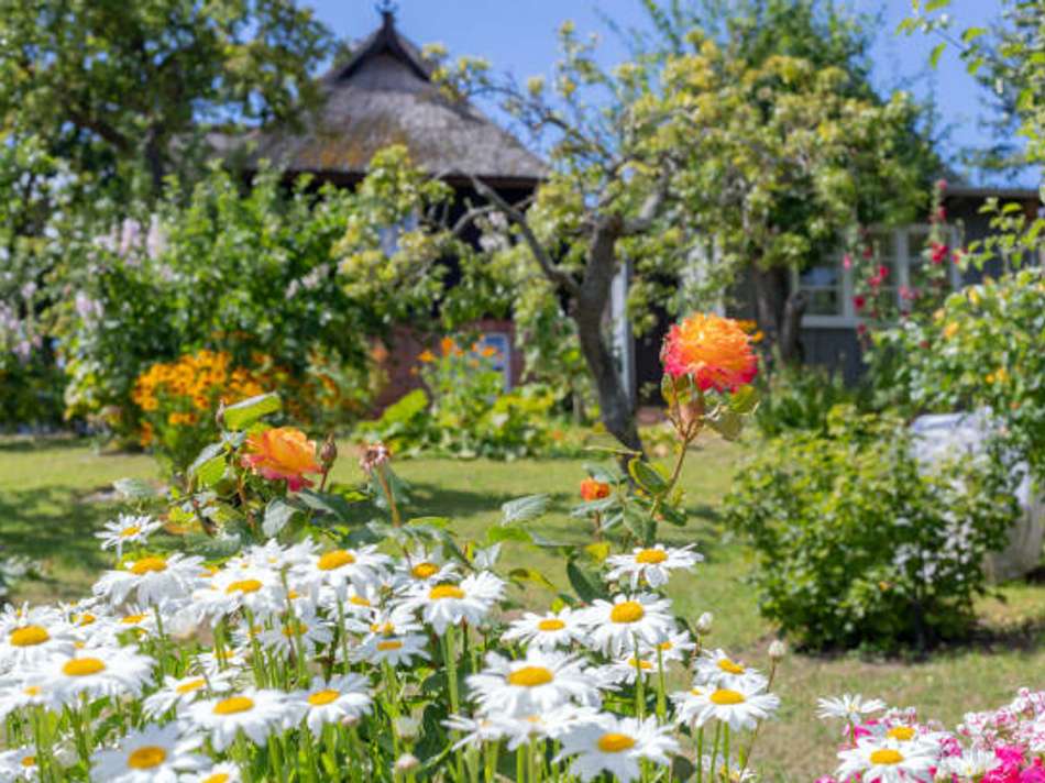 Genuss pur im eigenen Garten 1