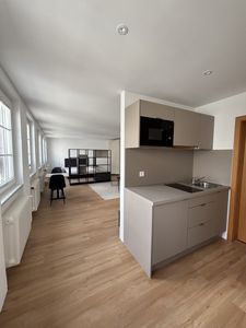 Frankfurt Bornheim: 1-Zimmer-Loft (kernsaniert & möbliert)