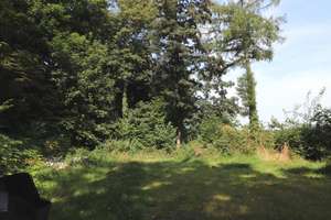Hoch hinaus - Ihre Villa mit Park! – Die vollständige Adresse der Immobilie erhältst du vom Anbieter., 95233 Helmbrechts – Vorschaubild 11