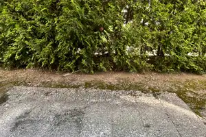 Willkommen Zuhause! Gemütliche 3 Zimmer Wohnung. – Lemgoer Straße 24 B, 32108 Lippe (Kreis) – Vorschaubild 10