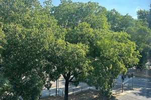 Helle 2-Zimmer Wohnung mit Balkon im 2. OG in Frankfurt Ostend - MIETERFREI! OHNE PROISION