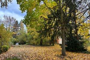 Property thumbnail 17