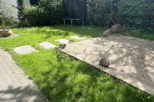 Property thumbnail 31