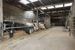 Bauernhof mit Stallungen, Scheunen und über 9.000 m² Grundstück in Heinsberg-Hülhoven – Die vollständige Adresse der Immobilie erhältst du vom Anbieter., 52525 Heinsberg – Vorschaubild 1