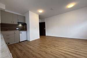 Schöne frisch renovierte Einzimmerwohnung im Erdgeschoss – Bäuminghausstraße 150, 45326 Altenessen-Süd, Essen – Vorschaubild 4