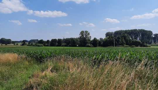 Bild von Hochwertige Doppelhaushälfte ! Villenstil ! Direkt am Feld