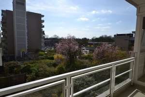 Property thumbnail 4