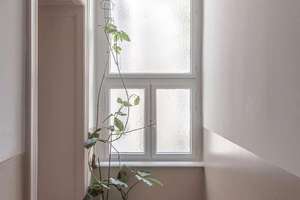 Lichtdurchflutete 4-Zimmer-Eigentumswohnung in ruhiger Lage von Berlin-Halensee – Seesener Straße 17, 10711 Halensee, Berlin – Vorschaubild 4