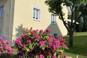 Freistehendes, vollständig renoviertes 6-Raum-Einfamilienhaus mit EBK in Ochsenhausen – Biberach (Kreis) – Vorschaubild 2