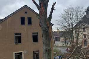 Geräumiges, günstiges 25-Zimmer-Mehrfamilienhaus in Werdau – Zwickauer Straße 32, 8412 Zwickau (Kreis) – Vorschaubild 8