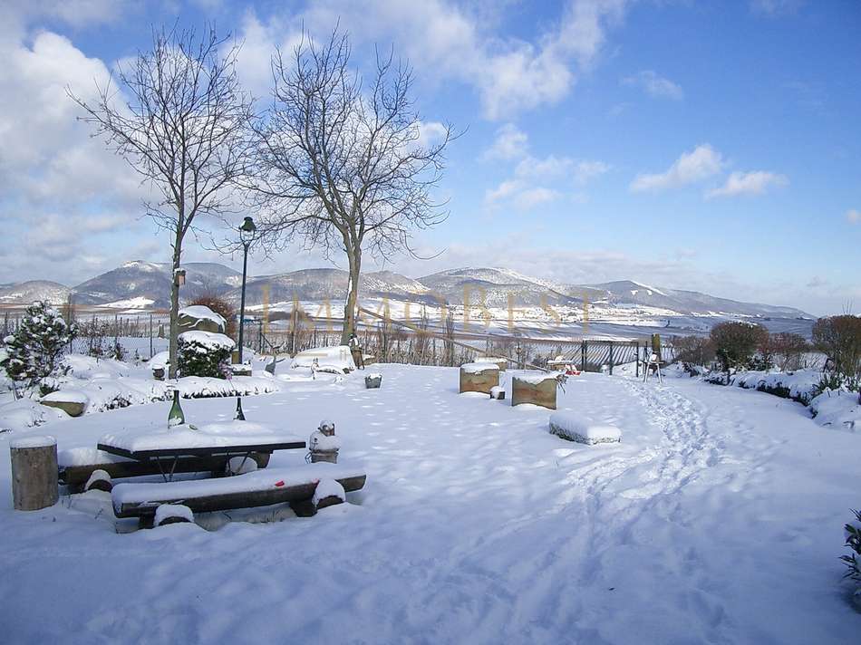 Winter Wonderland