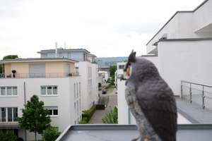 Ohne Käuferprovision: Exklusives Penthouse über den Dächern Wiesbadens inkl. Tiefgarage! – Die vollständige Adresse der Immobilie erhältst du vom Anbieter., 65189 Südost, Wiesbaden – Vorschaubild 15