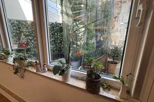 Property thumbnail 17