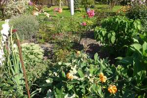reizvoller Garten und viel Wohnfläche – Die vollständige Adresse der Immobilie erhältst du vom Anbieter., 9350 Lichtenstein/Sachsen – Vorschaubild 6