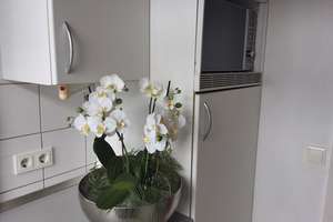 Dachgeschosswohnung in Kassel - UNI/Hopla – Die vollständige Adresse der Immobilie erhältst du vom Anbieter., 34127 Nord (Holland), Kassel – Vorschaubild 9