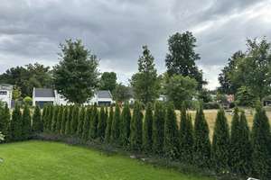 Neues Einfamilienhaus mit 6 Zimmern in Dortmund, Erstbezug 2023 – Die vollständige Adresse der Immobilie erhältst du vom Anbieter., 44309 Brackel (Ortsteil), Dortmund – Vorschaubild 2
