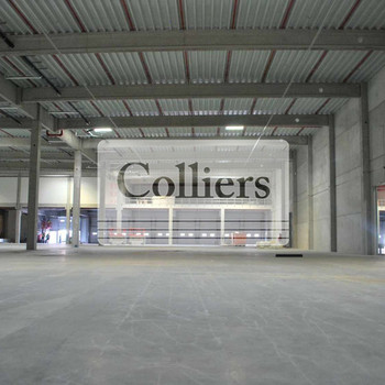 Logistikhalle in Pfungstadt ca. 12.000 m² - Q3 2026 - PROVISIONSFREI