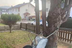 Immobilie mit Top Ausstattung, behindertengerecht ausgebaut! – Sudetenstraße 10, 74736 Hardheim – Vorschaubild 27