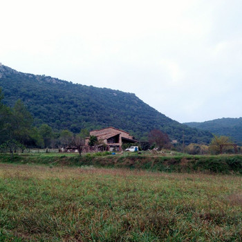MASIA IN AMER