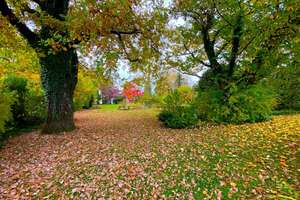 Property thumbnail 9