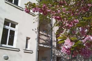 Gemütliche 2-Zimmer-Wohnung mit Balkon im sanierten Altbau