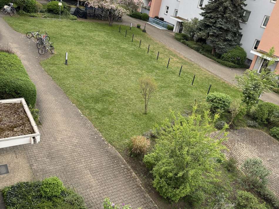 Hof Grünfläche