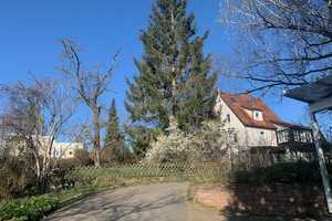 Renoviertes Einfamilienhaus mit großem Garten in ruhiger sonniger Lage für Familien – Reifsteckstraße 12, 71263 Böblingen (Kreis) – Vorschaubild 1