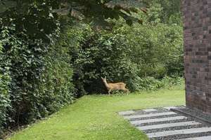 Property thumbnail 36