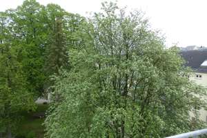 Hier macht Treppensteigen Spaß! - Exquisite 3-Raum-Maisonette auf dem hinteren Sonnenberg – Hofer Str. 24, 9130 Sonnenberg, Chemnitz – Vorschaubild 11