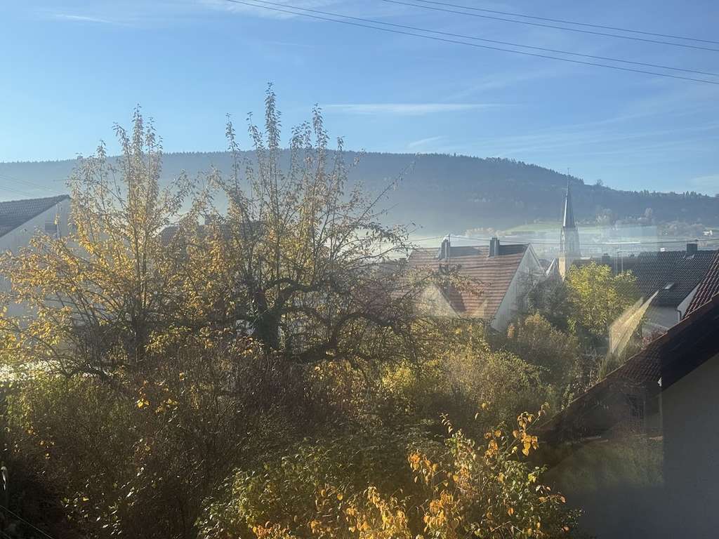 Immobilie in Spaichingen - Frisch renovierte 3-Zimmer-Wohnung in zentraler Lage von Spaichingen (keine Maklergebühren!) - Bild 3