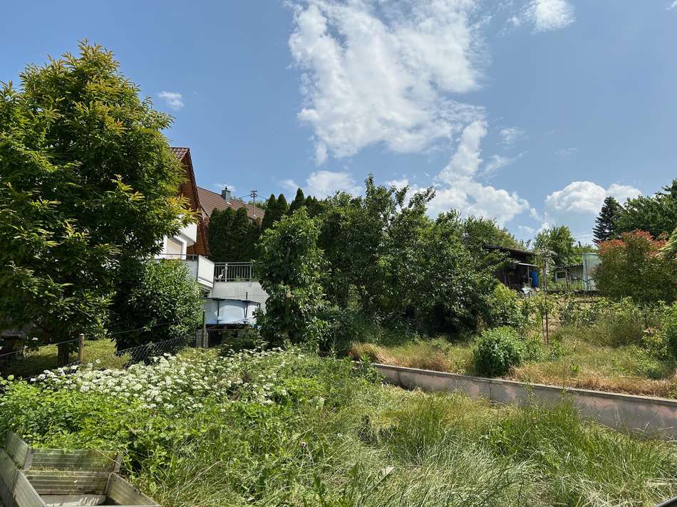 Garten-Ostseite