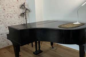 Haus Südseite 3 Zimmer Garten sonnig möbliert Piano Mariendorf  – Die vollständige Adresse der Immobilie erhältst du vom Anbieter., 12107 Mariendorf, Berlin – Vorschaubild 12